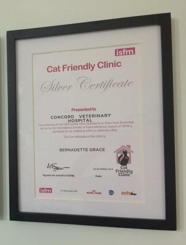 What's Happening Concord Veterinary Hospital, Veterinary Clinic