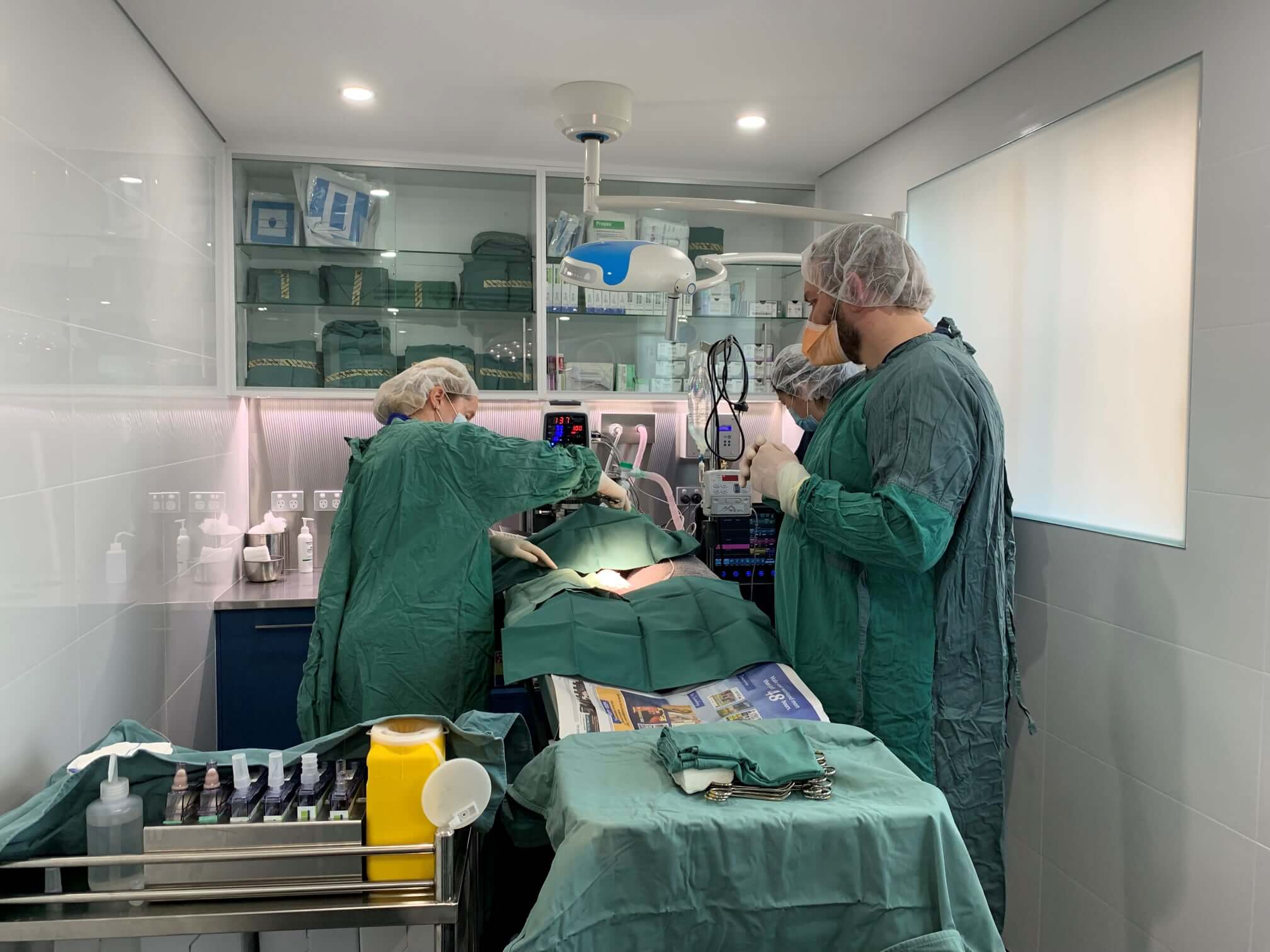 dog teeth cleaning at sydney