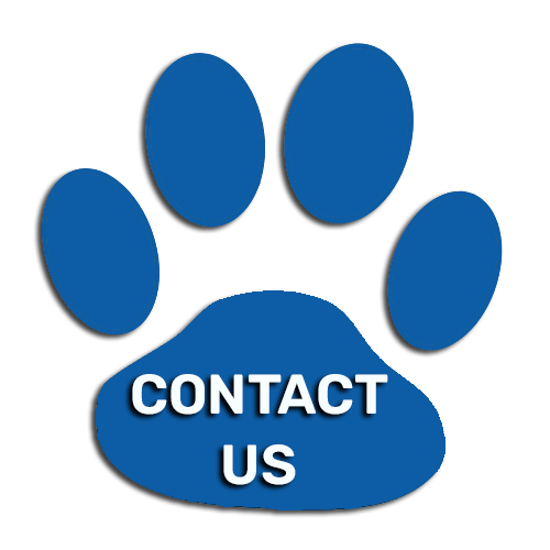 Concord Veterinary Hospital Contact Us Button