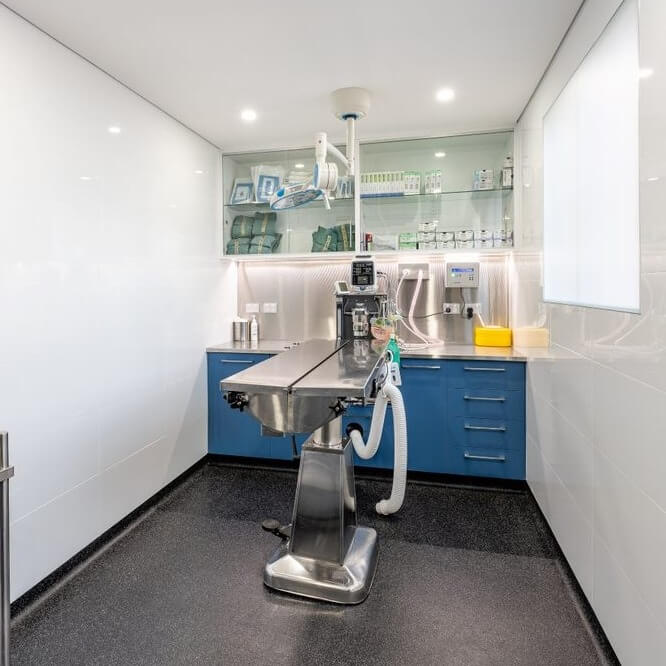 Sydney Vet Hospital Sydney Animal Wellness Centre Concord Veterinary Hospital Sydney Vet Hospital Sydney Animal Wellness Centre Concord Veterinary Hospital
