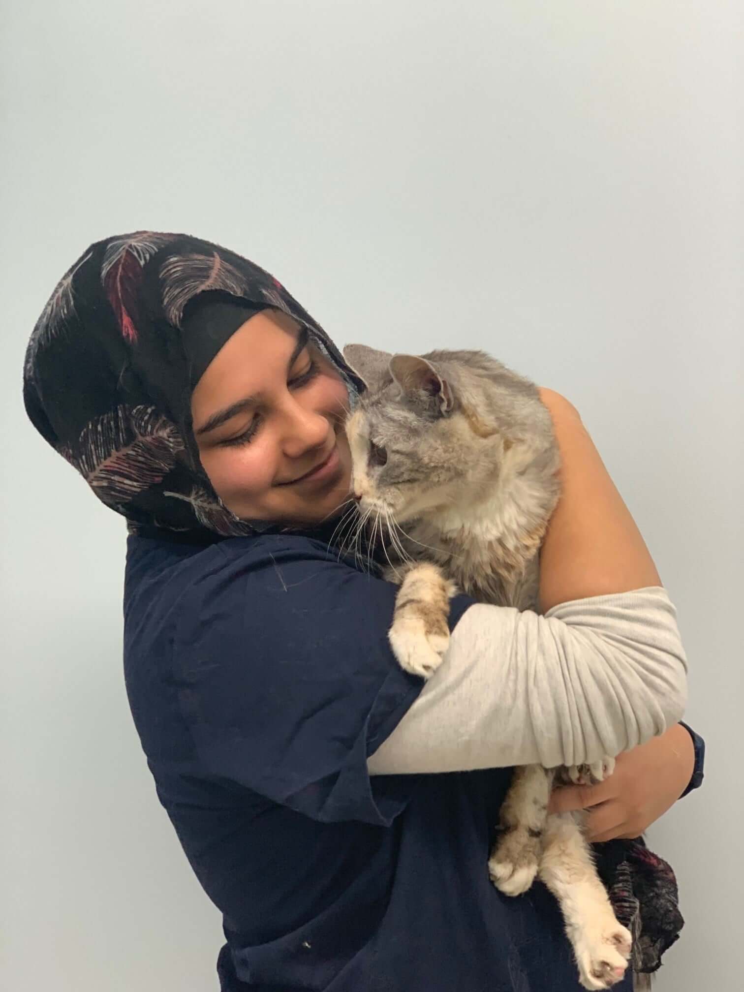 Cat Protection Society Cat Protection Society Sydney Concord Veterinary Hospital