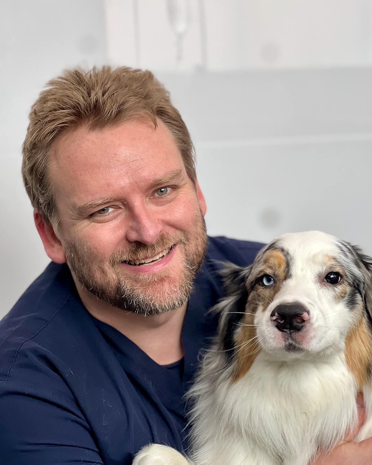 Dr David Veterinarian