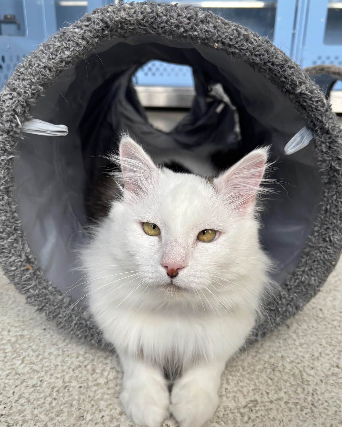 Heron Practice Manager